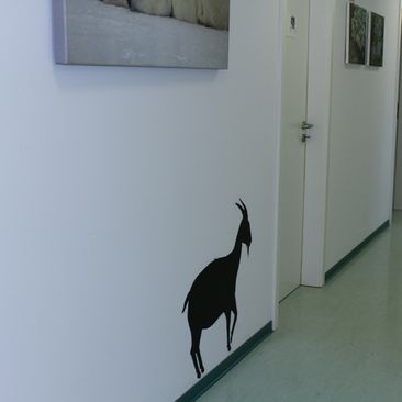 Praxis für Kleintiere in Kirchzarten