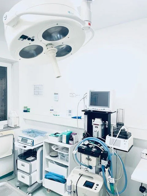 Tierarztpraxis Dreisamtal