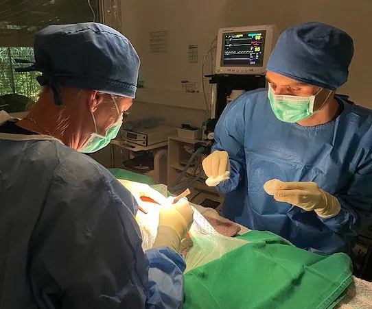 Tierarztpraxis Dreisamtal