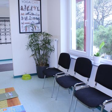 Praxis für Kleintiere in Kirchzarten