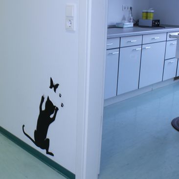 Praxis für Kleintiere in Kirchzarten