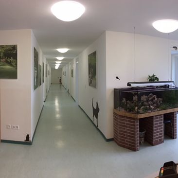 Praxis für Kleintiere in Kirchzarten
