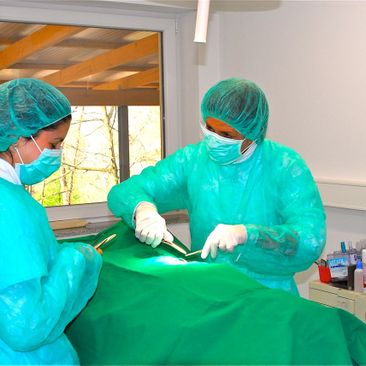 Praxis für Kleintiere in Kirchzarten