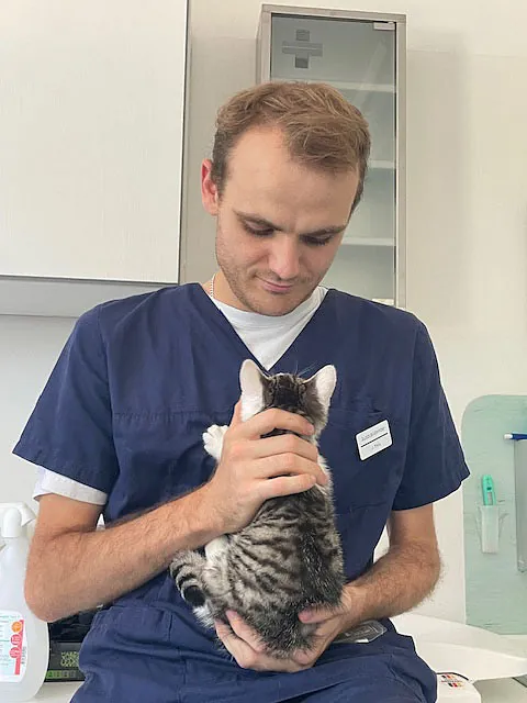 Tierarztpraxis Dreisamtal