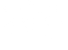 Logo Tierarztpraxis Dreisamtal