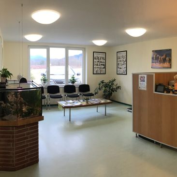 Praxis für Kleintiere in Kirchzarten