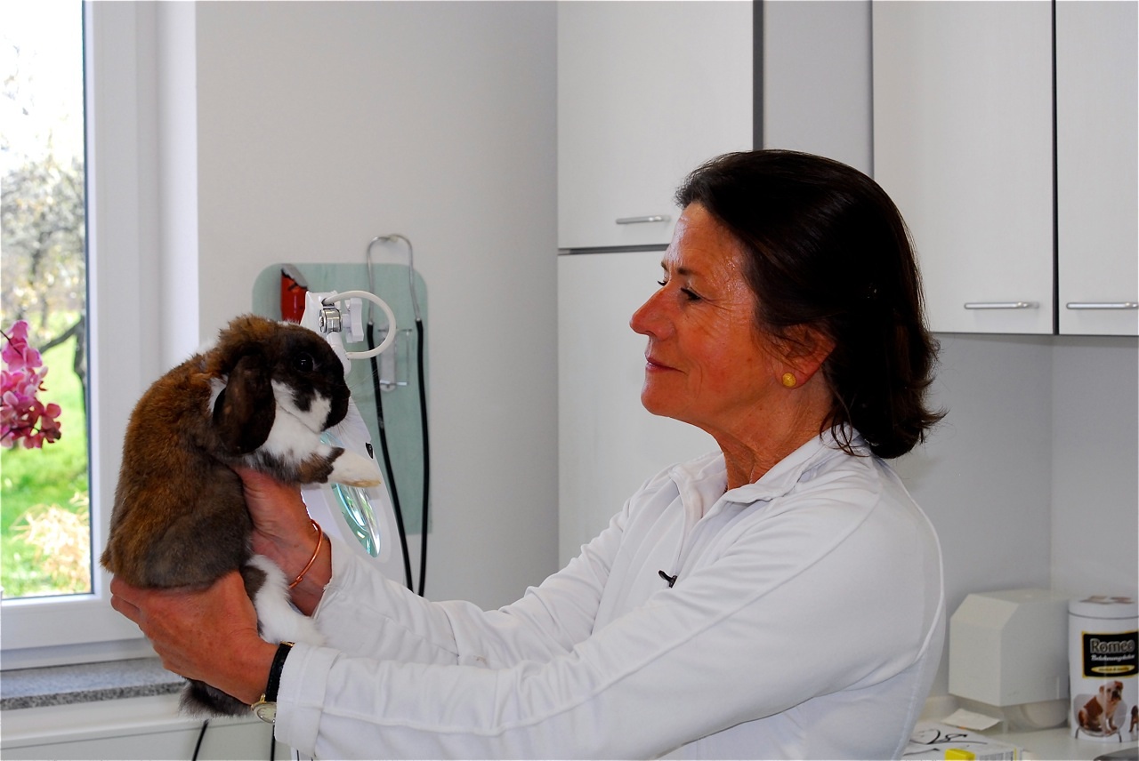 Praxis für Kleintiere in Kirchzarten